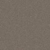 Shaw Floors Carpet You Got This II Cobblestone 00750_5E561