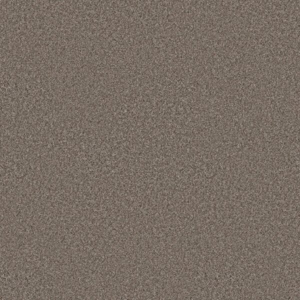Shaw Floors Carpet You Got This II Cobblestone 00750_5E561