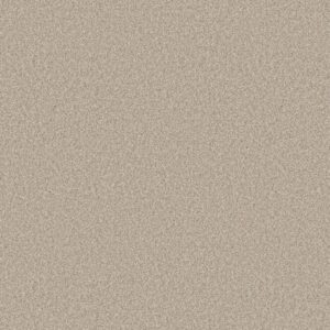 Shaw Floors Carpet You Got This III Natural 00109_5E562