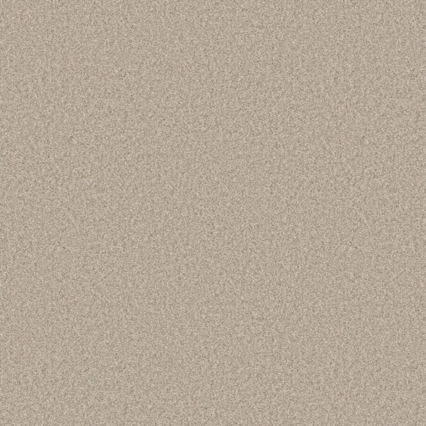 Shaw Floors Carpet You Got This III Natural 00109_5E562