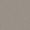 Shaw Floors Carpet You Got This III Chic Greige 00111_5E562