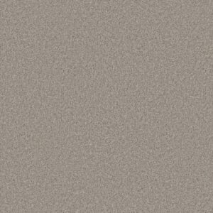 Shaw Floors Carpet You Got This III Chic Greige 00111_5E562