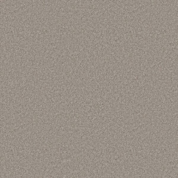 Shaw Floors Carpet You Got This III Chic Greige 00111_5E562