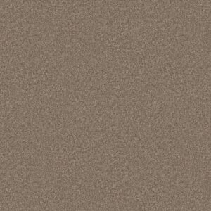 Shaw Floors Carpet You Got This III Cameo 00113_5E562
