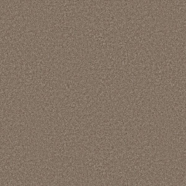 Shaw Floors Carpet You Got This III Cameo 00113_5E562