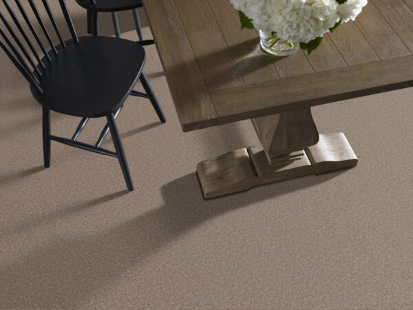 Shaw Floors Carpet You Got This III Cameo 00113_5E562 - Image 2