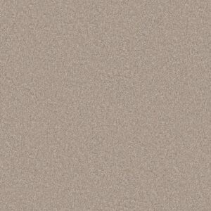 Shaw Floors Carpet You Got This III Subtle Clay 00114_5E562