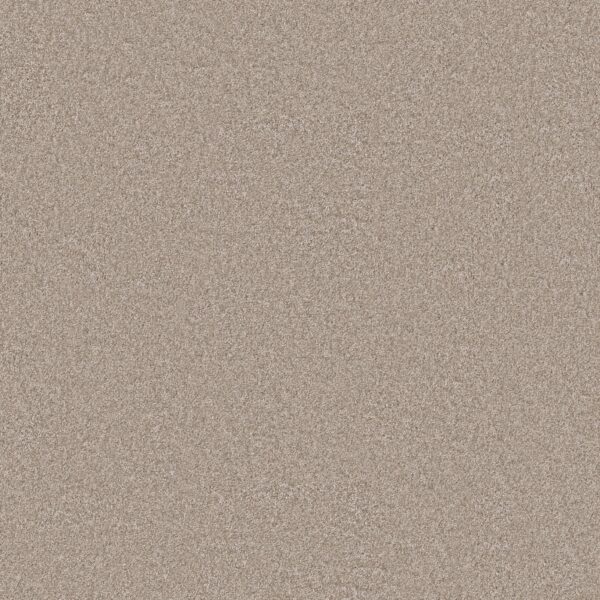 Shaw Floors Carpet You Got This III Subtle Clay 00114_5E562
