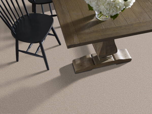 Shaw Floors Carpet You Got This III Subtle Clay 00114_5E562 - Image 2