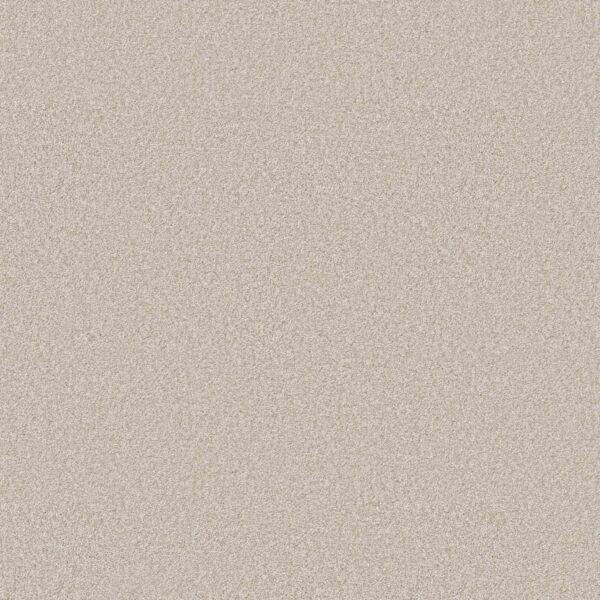 Shaw Floors Carpet You Got This III Warm Light 00116_5E562