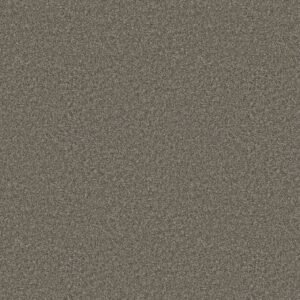Shaw Floors Carpet You Got This III Rerooted Nature 00300_5E562