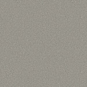 Shaw Floors Carpet You Got This III Frosted Leaf 00353_5E562