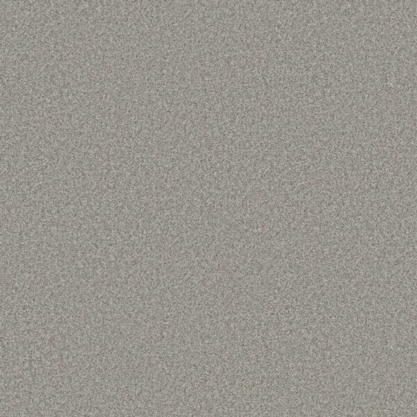 Shaw Floors Carpet You Got This III Frosted Leaf 00353_5E562