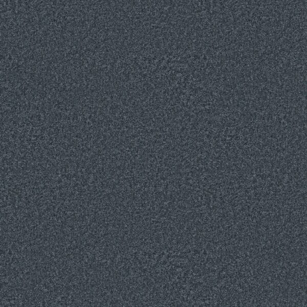 Shaw Floors Carpet You Got This III Refined 00402_5E562