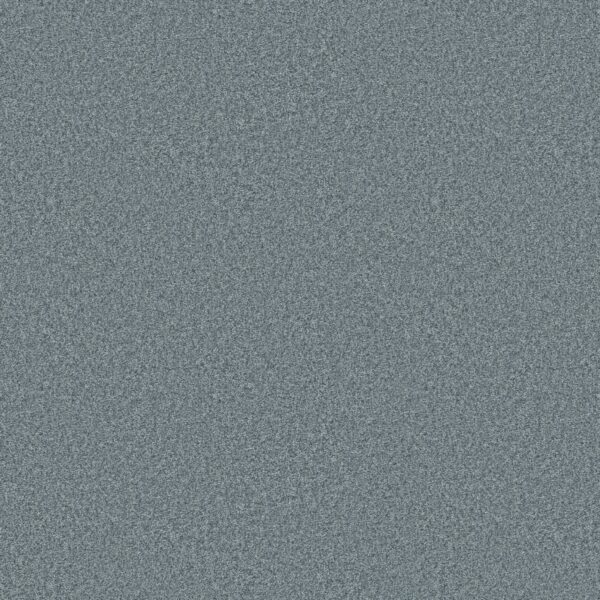 Shaw Floors Carpet You Got This III Sea Ice 00403_5E562