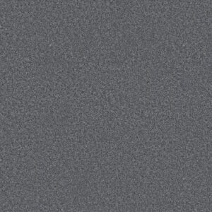 Shaw Floors Carpet You Got This III Reflection 00454_5E562