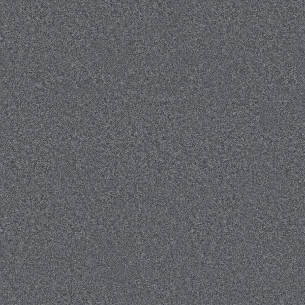 Shaw Floors Carpet You Got This III Reflection 00454_5E562
