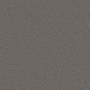 Shaw Floors Carpet You Got This III Ashes 00501_5E562