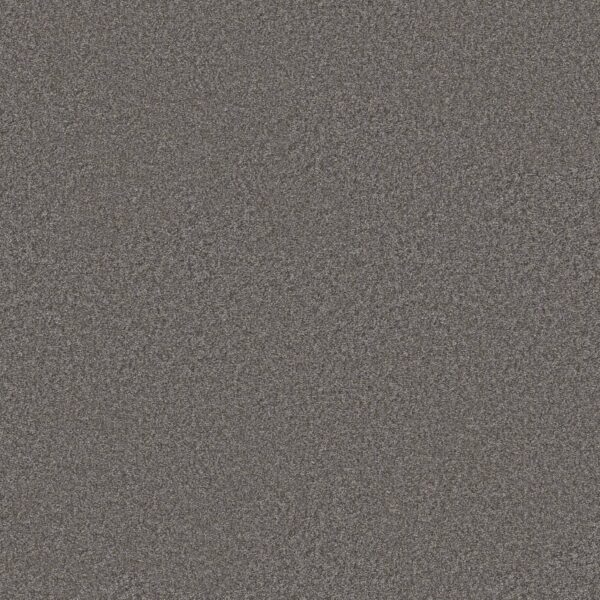 Shaw Floors Carpet You Got This III Ashes 00501_5E562