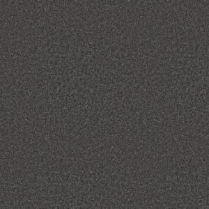 Shaw Floors Carpet You Got This III Shadow 00502_5E562