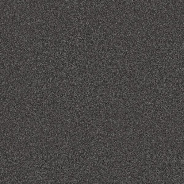 Shaw Floors Carpet You Got This III Shadow 00502_5E562