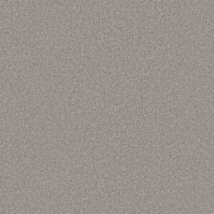 Shaw Floors Carpet You Got This III Rock Crystal 00508_5E562