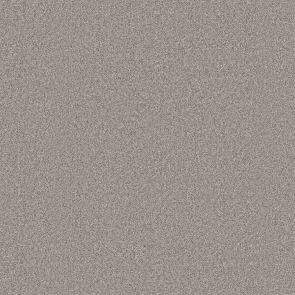 Shaw Floors Carpet You Got This III Rock Crystal 00508_5E562
