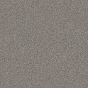 Shaw Floors Carpet You Got This III Vintage 00509_5E562