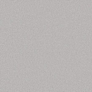 Shaw Floors Carpet You Got This III Lilac Gray 00550_5E562