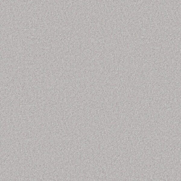 Shaw Floors Carpet You Got This III Lilac Gray 00550_5E562
