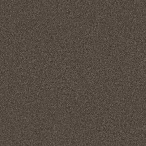 Shaw Floors Carpet You Got This III Urban Rustic 00708_5E562