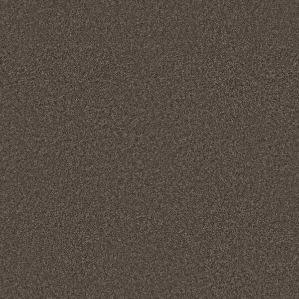 Shaw Floors Carpet You Got This III Urban Rustic 00708_5E562