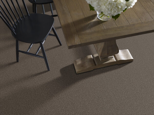 Shaw Floors Carpet You Got This III Urban Rustic 00708_5E562 - Image 2