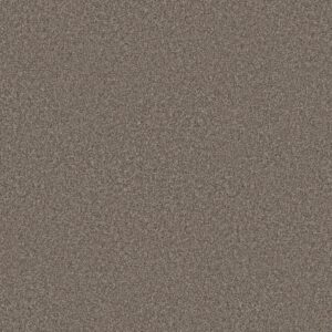 Shaw Floors Carpet You Got This III Cobblestone 00750_5E562