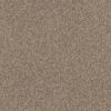 Shaw Floors Carpet Yes You Can I 12' Sea Shell 00100_5E568