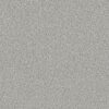 Shaw Floors Carpet Yes You Can I 12' Frozen 00107_5E568