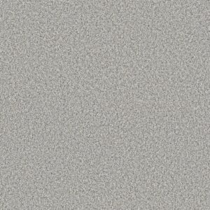 Shaw Floors Carpet Yes You Can I 12' Frozen 00107_5E568
