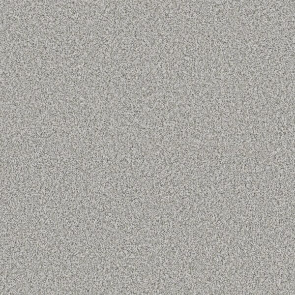 Shaw Floors Carpet Yes You Can I 12' Frozen 00107_5E568