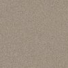 Shaw Floors Carpet Yes You Can I 12' Natural 00109_5E568