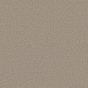 Shaw Floors Carpet Yes You Can I 12' Natural 00109_5E568