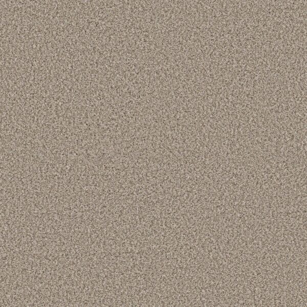 Shaw Floors Carpet Yes You Can I 12' Natural 00109_5E568