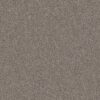 Shaw Floors Carpet Yes You Can I 12' Chic Greige 00111_5E568