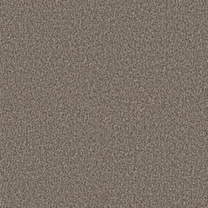 Shaw Floors Carpet Yes You Can I 12' Soft Sense 00112_5E568