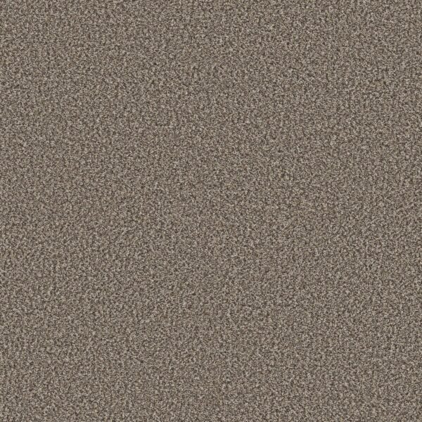 Shaw Floors Carpet Yes You Can I 12' Soft Sense 00112_5E568