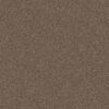 Shaw Floors Carpet Yes You Can I 12' Worn Path 00700_5E568