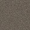 Shaw Floors Carpet Yes You Can I 12' Urban Rustic 00708_5E568