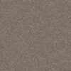 Shaw Floors Carpet Yes You Can II 12' Soft Sense 00112_5E569