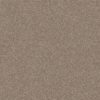Shaw Floors Carpet Yes You Can II 12' Subtle Clay 00114_5E569