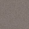 Shaw Floors Carpet Yes You Can II 12' Alaskan Air 00500_5E569