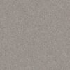 Shaw Floors Carpet Yes You Can III 12' Rock Crystal 00508_5E570
